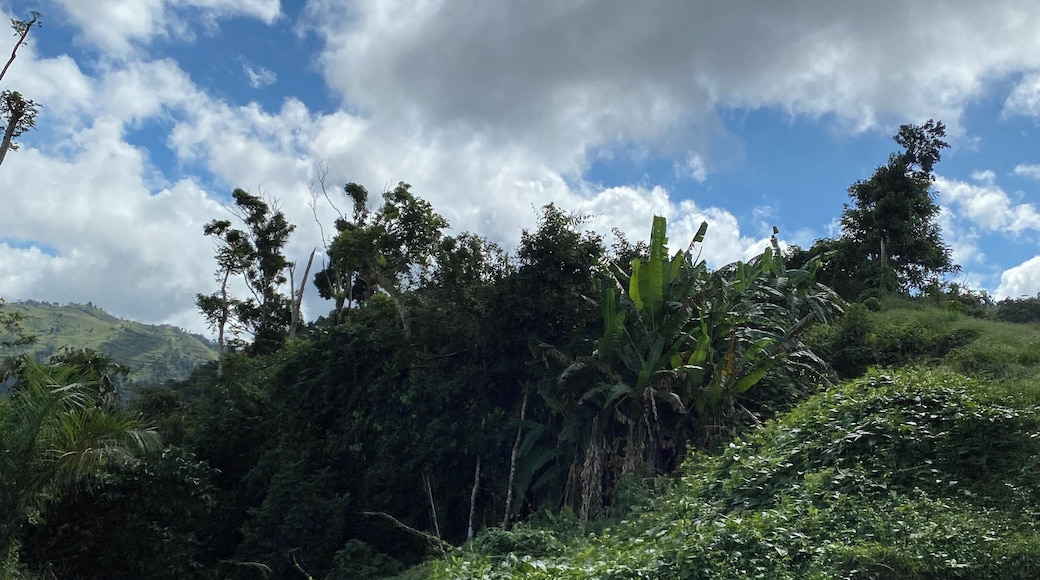 End of the 2nd line: the beast and then they take you out by 4wd truck!