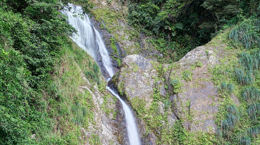 Salto de Dona Juana Waterfall, Orocovis, Puerto Rico