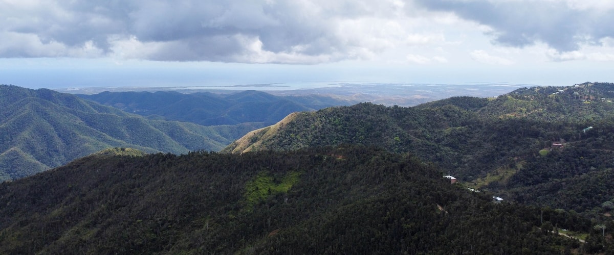 A mountainous landscape with dense forests and a distant view of a coastline under a cloudy sky.