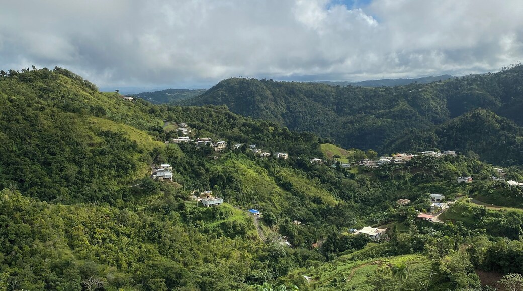 View from “The Monster” world’s longest zip line!