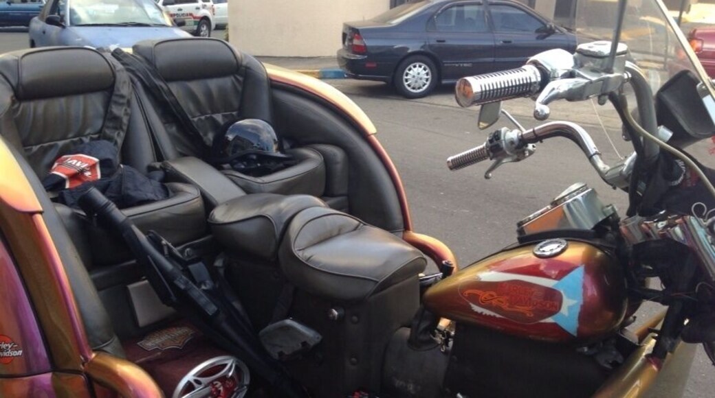 The best way to cruise! Jajajaja #GotToLoveIt