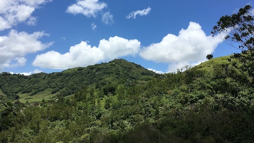 During lunch time enjoying the view of the mountains in Puerto Rico
#LifeAtExpedia