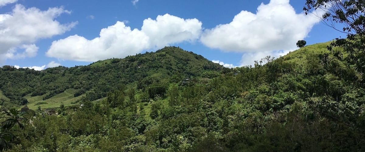 During lunch time enjoying the view of the mountains in Puerto Rico
#LifeAtExpedia