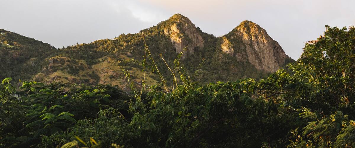A mountainous landscape with dense vegetation in the foreground and a prominent rocky peak in the background.