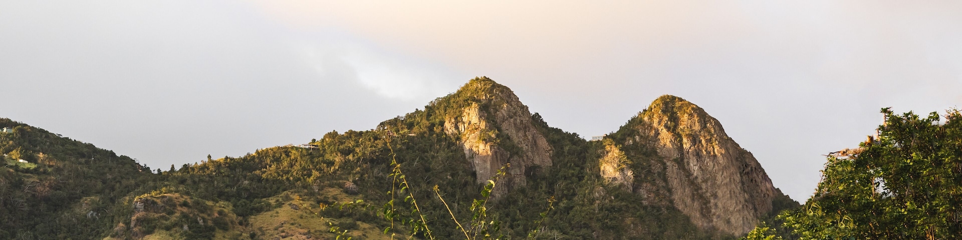 A mountainous landscape with dense vegetation in the foreground and a prominent rocky peak in the background.