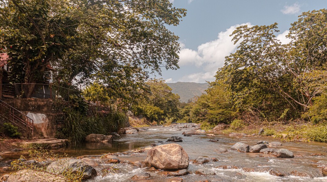 อาร์โรโย