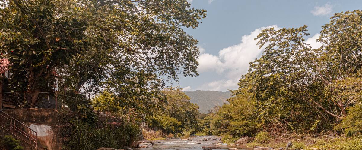 A river with rocks and trees.