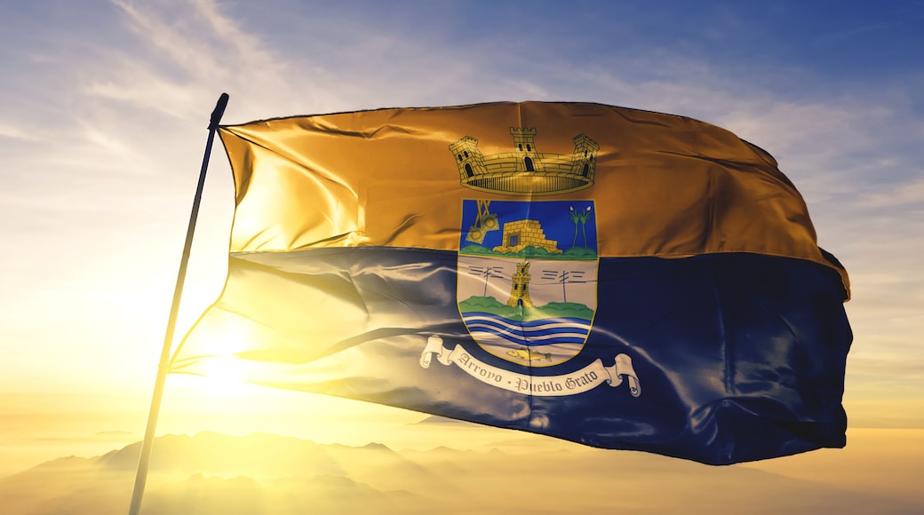 อาร์โรโย