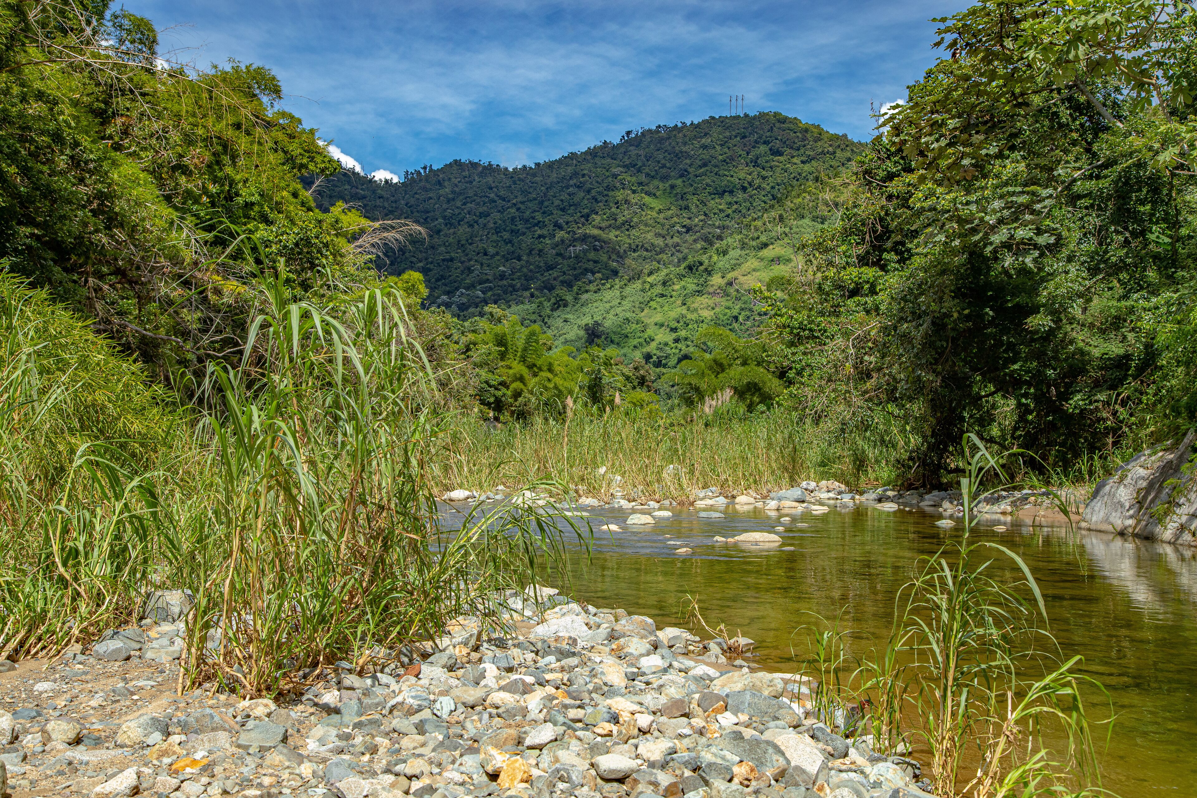 River in Jayuya, Puerto Rico at La Piedra Escrita Petroglyphs Site