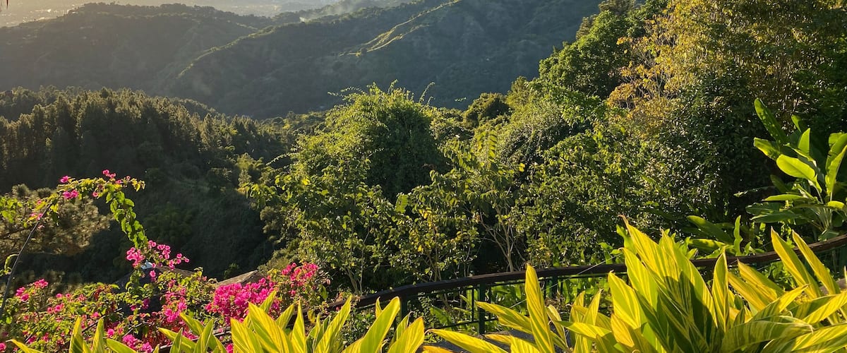 A mountainous landscape with lush greenery and pink flowers in the foreground.