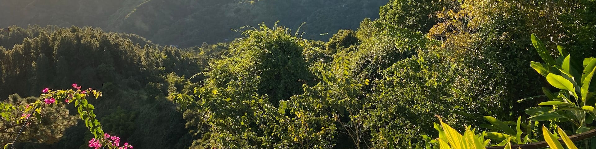 A mountainous landscape with lush greenery and pink flowers in the foreground.