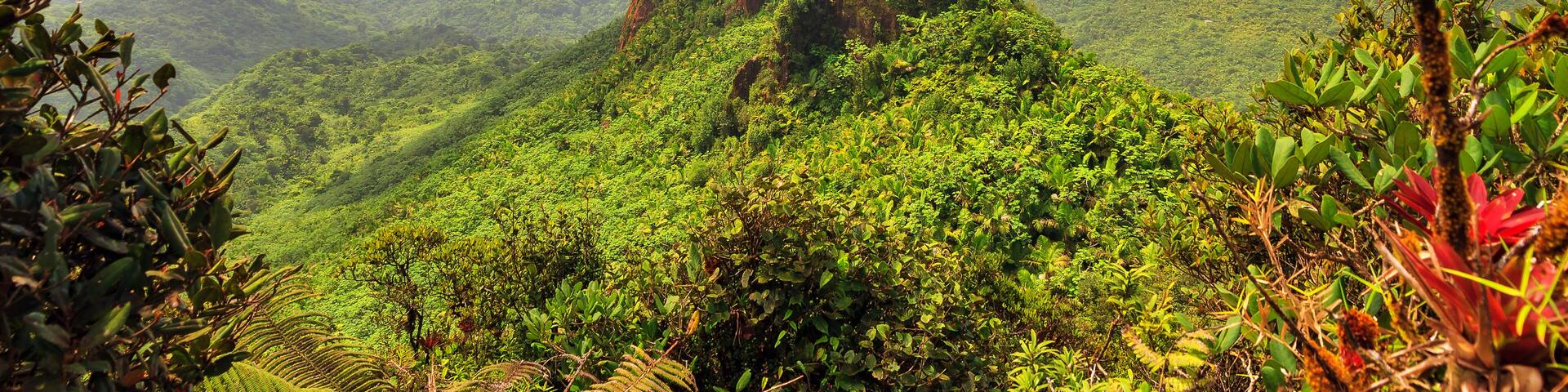 Beautiful view of the hills with fog in the jungle of the El Yunque national forest in Puerto Rico