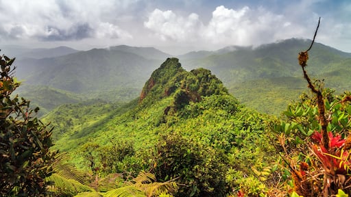 Canóvanas
