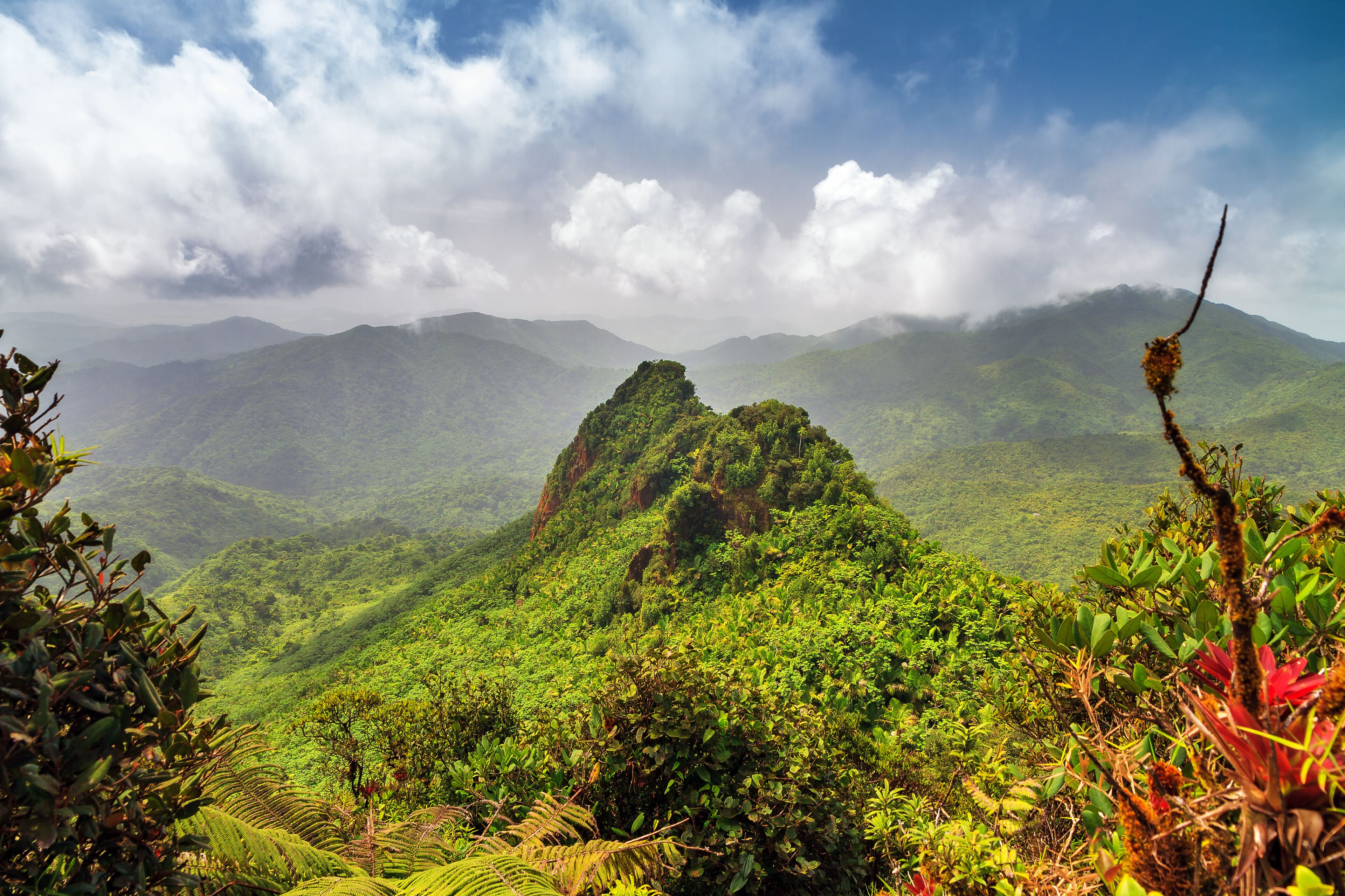 A lush green mountain landscape with a prominent peak and dense vegetation.