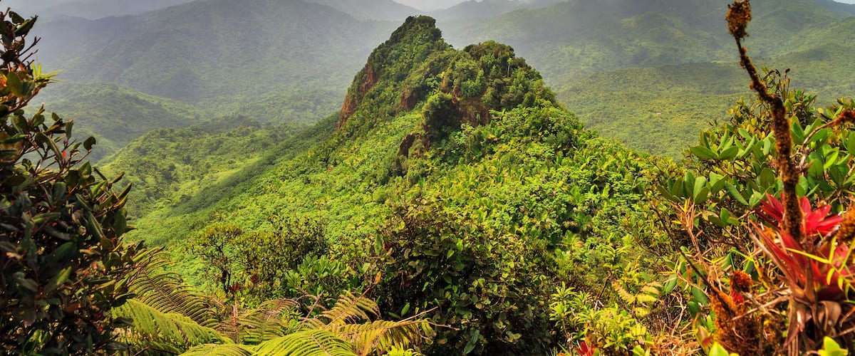 A lush green mountain landscape with a prominent peak and dense vegetation.