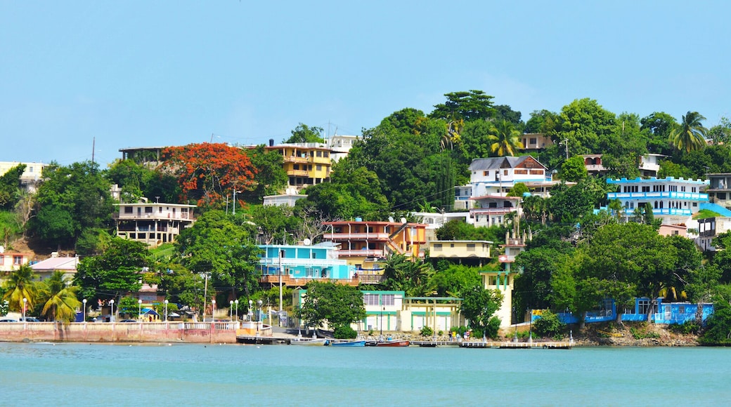 Naguabo