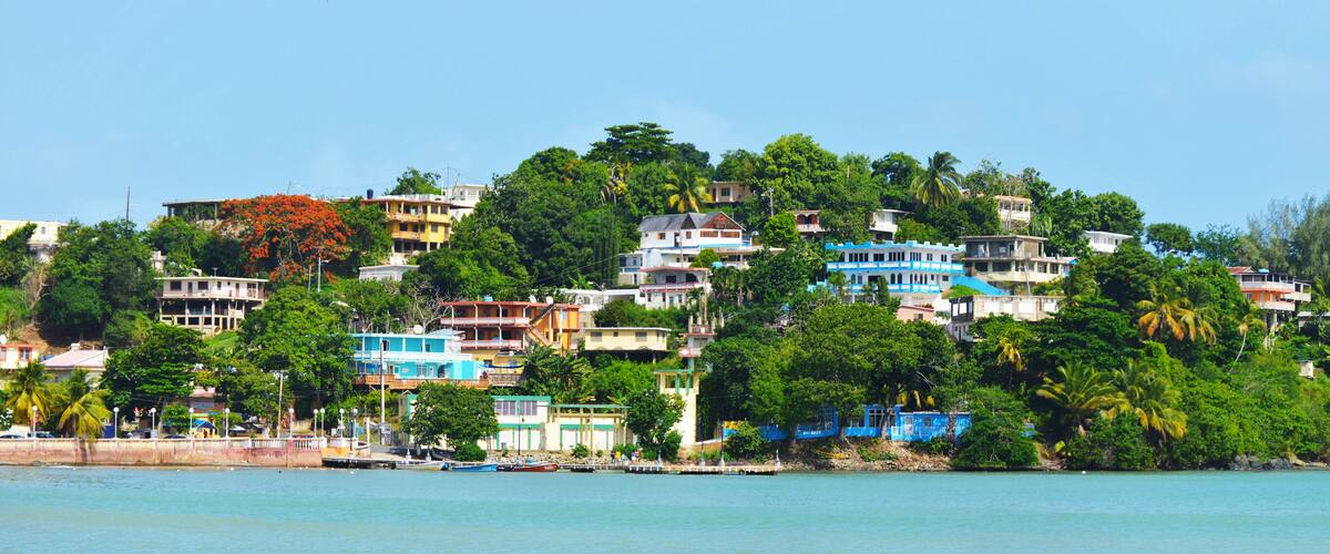 A coastal town with colorful buildings on a hillside, surrounded by lush greenery and palm trees.