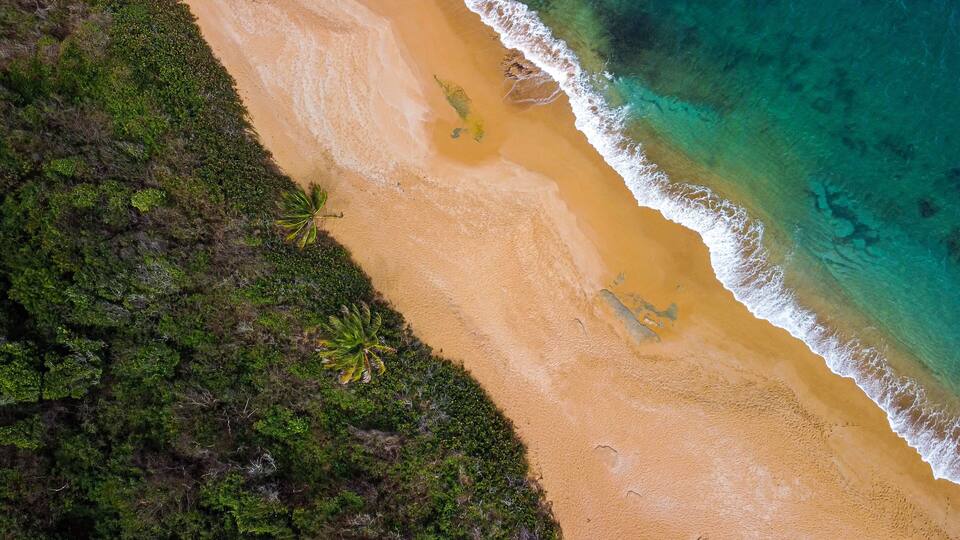 A beach with clear turquoise water, sandy shore, and green vegetation.