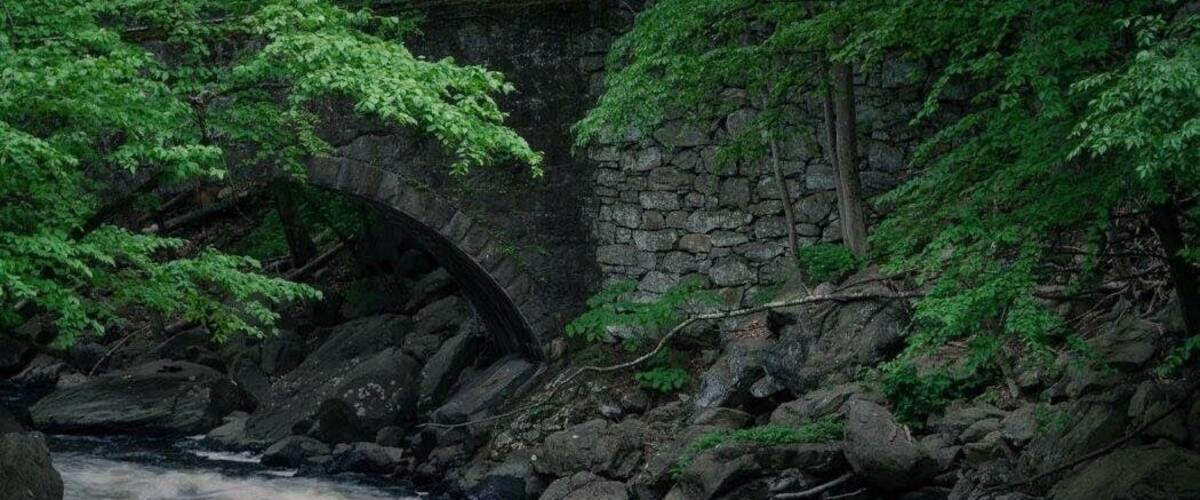 A river flowing under a stone bridge surrounded by lush greenery.