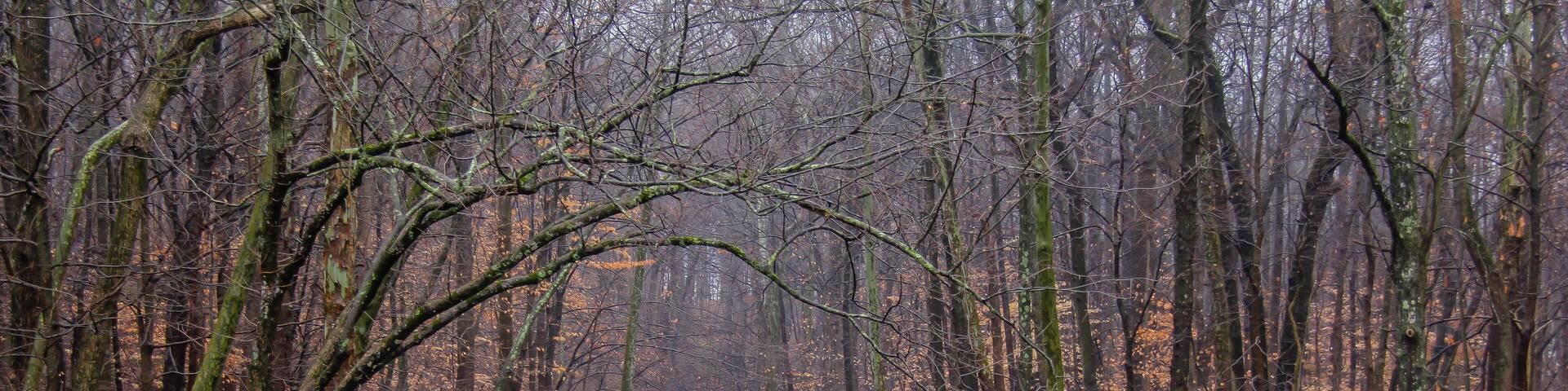 Rahway River in Millburn New Jersey during winter
