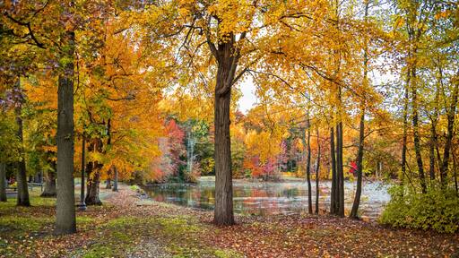 Autumn Lake Trail