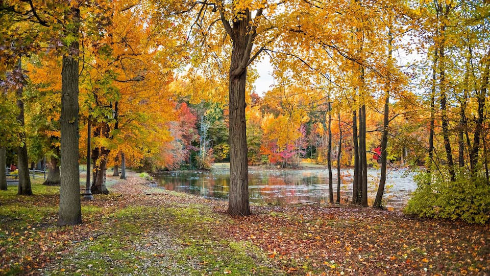 A park with autumn trees, a pond, and a grassy area with fallen leaves.