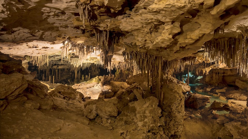 A cave with stalactites and stalagmites.