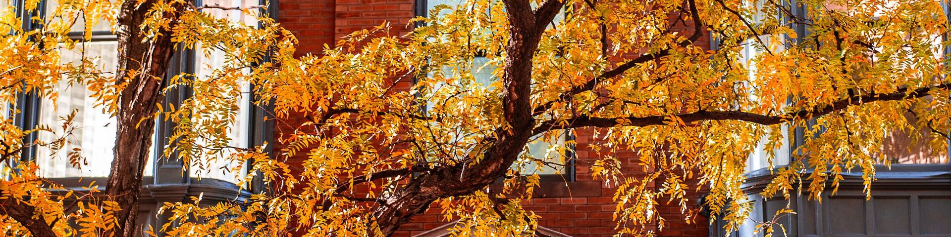 New England in Fall