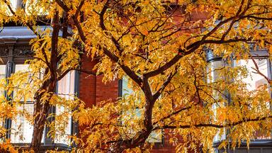 New England in Fall