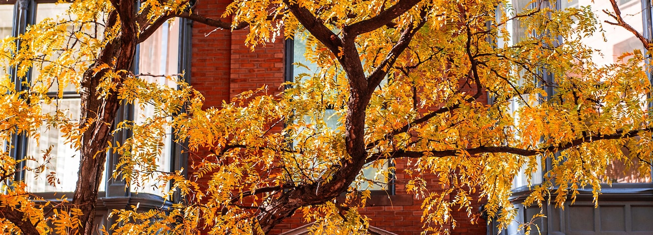 New England in Fall