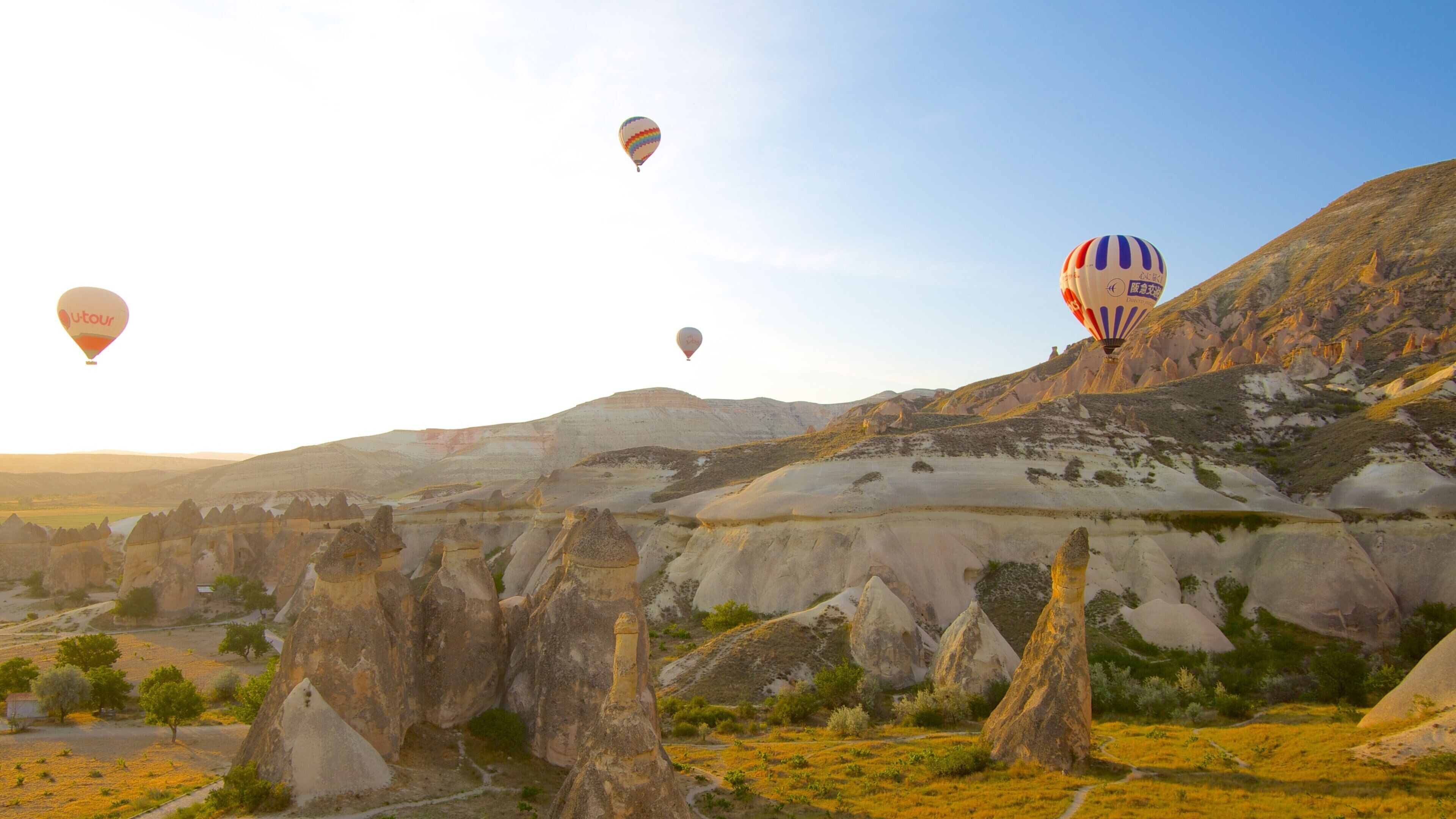 Pasabag showing ballooning