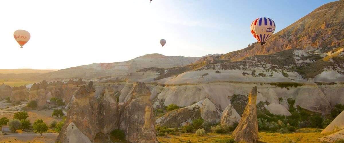 パシャバー フィーチャー 熱気球