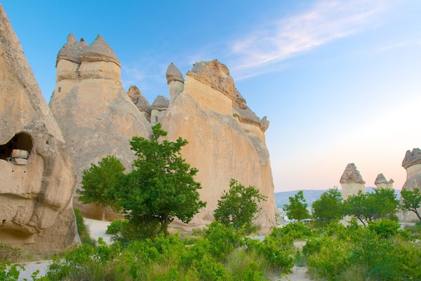 パシャバー どの含み 山々
