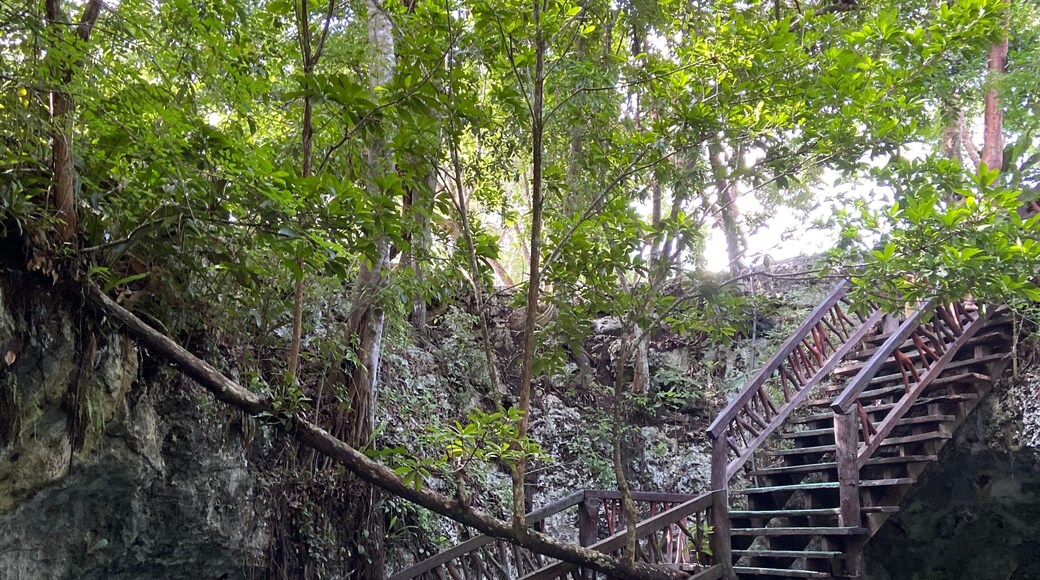 Gran Cenote