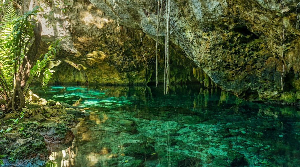 Gran Cenote