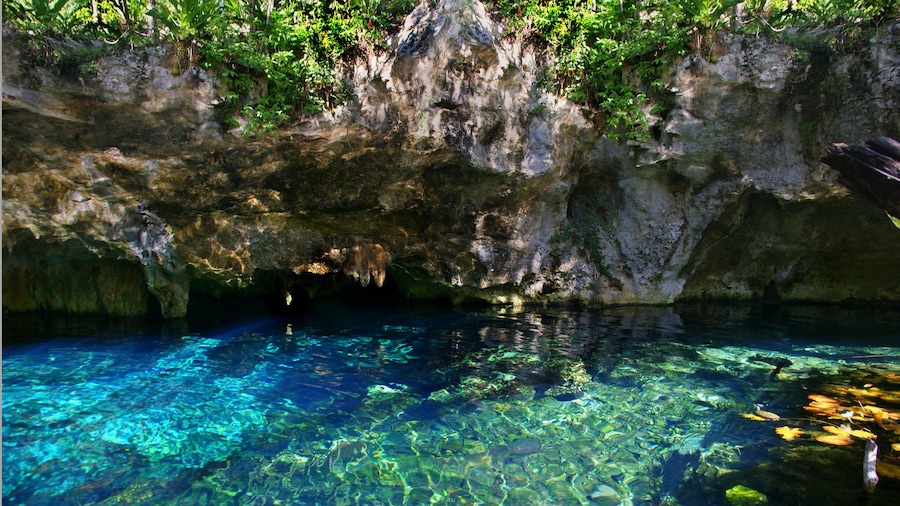 Gran cenote with crystal clear waters near Tulum, Mexico