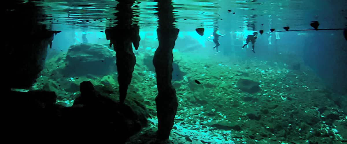 Swimming with fish and turtles and with bats in the caves above is just amazing. All for only 180 pesos.
Happily, they make you shower before you go in to wash off and sunscreen and insect repellent to protect the ecosystem.