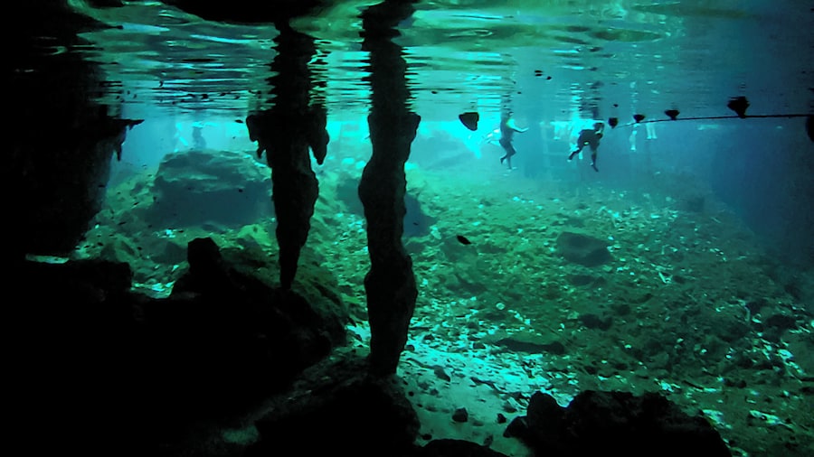 Swimming with fish and turtles and with bats in the caves above is just amazing. All for only 180 pesos.
Happily, they make you shower before you go in to wash off and sunscreen and insect repellent to protect the ecosystem.