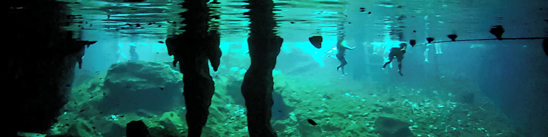 Swimming with fish and turtles and with bats in the caves above is just amazing. All for only 180 pesos.
Happily, they make you shower before you go in to wash off and sunscreen and insect repellent to protect the ecosystem.