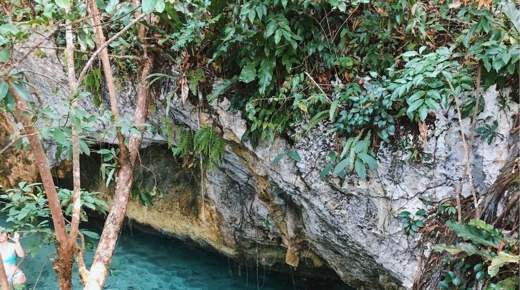 Finally checked off swimming in a cenote off my bucket list.