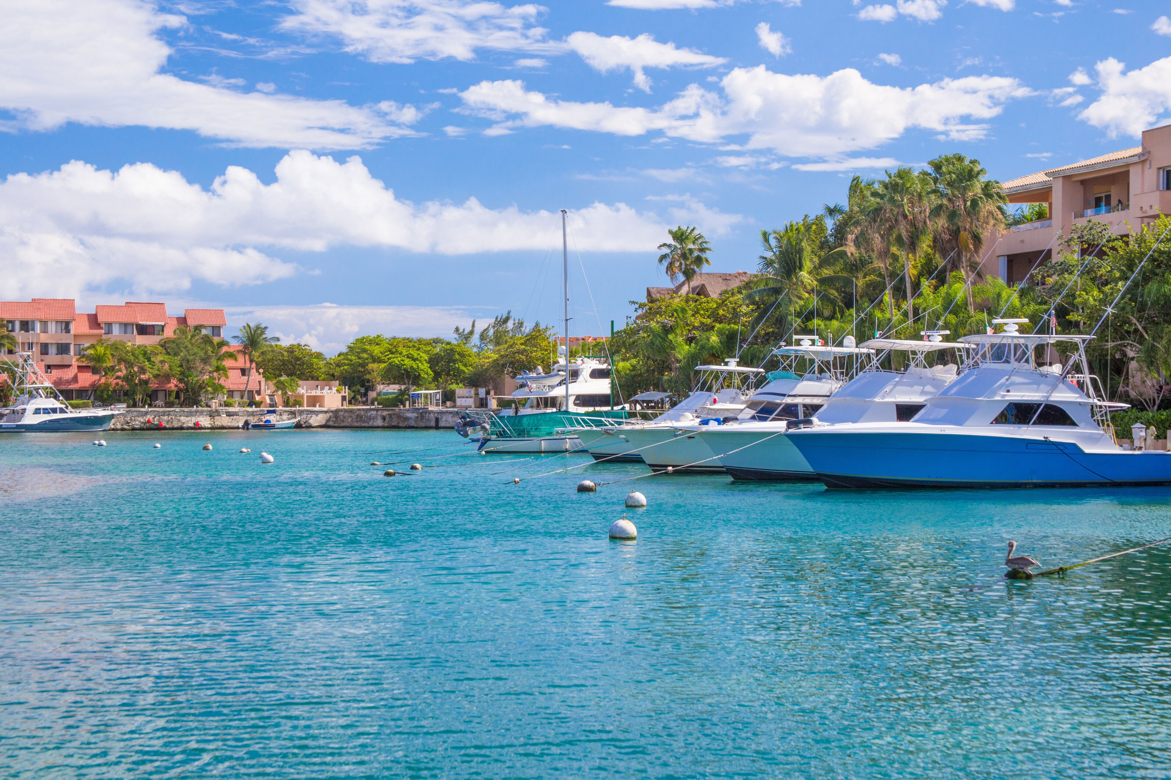 Puerto Aventuras Marina