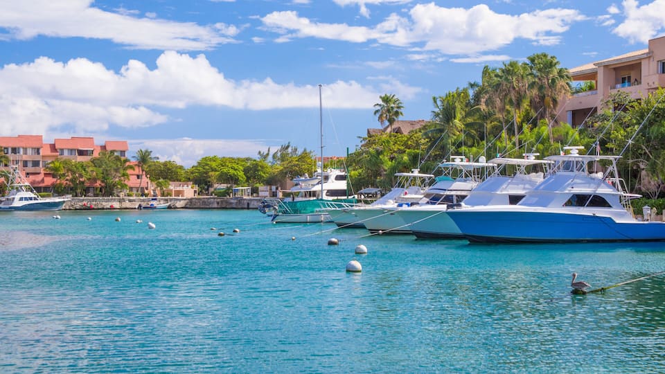 A marina with boats, palm trees, and buildings in the background.