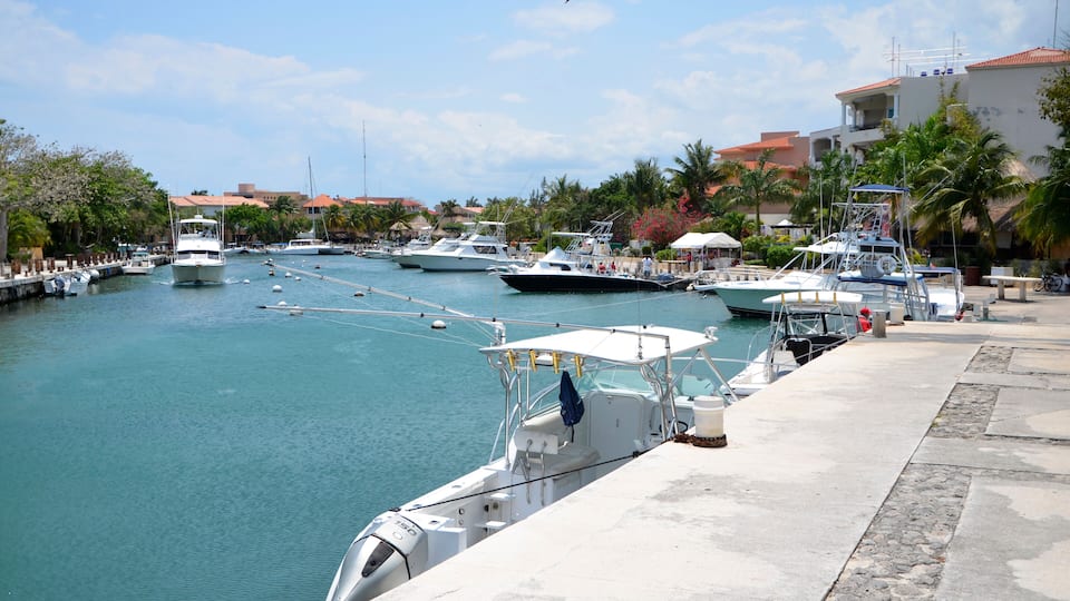 A marina with various boats docked, palm trees, and a building with a red roof in the background.