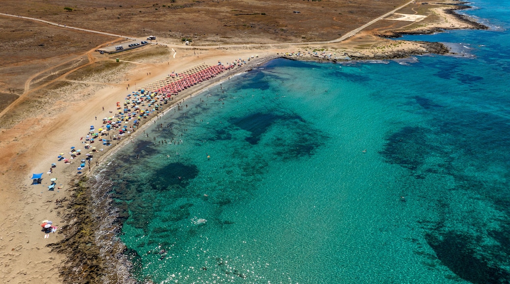 An aerial view of a beach with clear turquoise waters, a long stretch of umbrellas, and a rocky coastline.