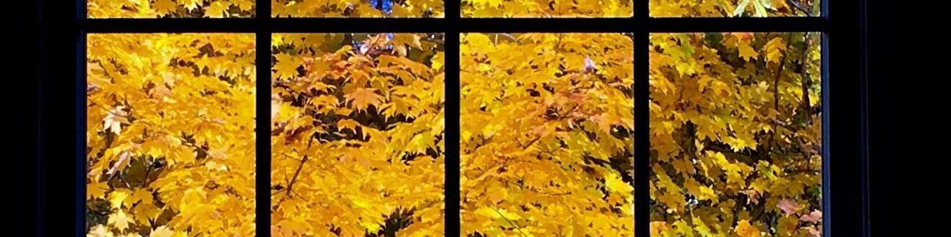 Cool view from my church window.