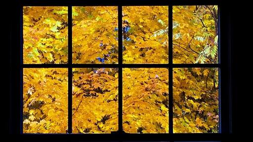 Cool view from my church window.