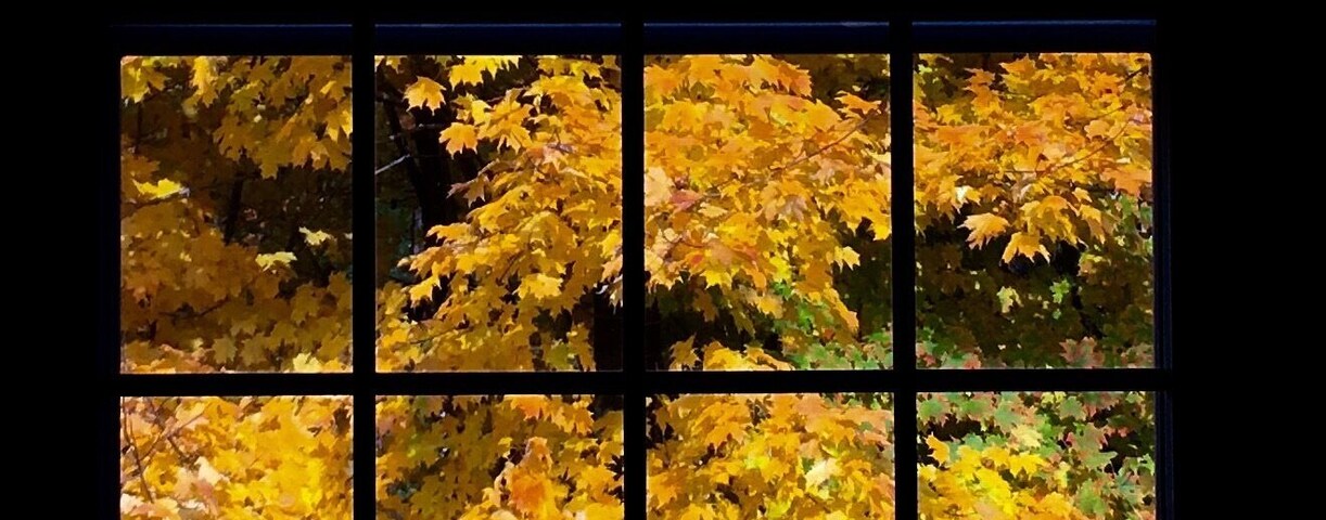 Cool view from my church window.