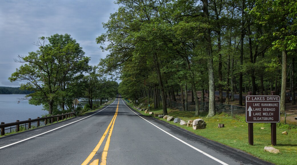 The main road in Harriman state park, New York, USA