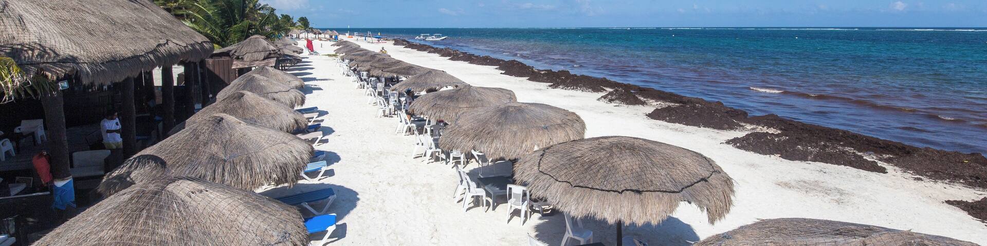 A beach with thatched umbrellas and lounge chairs.