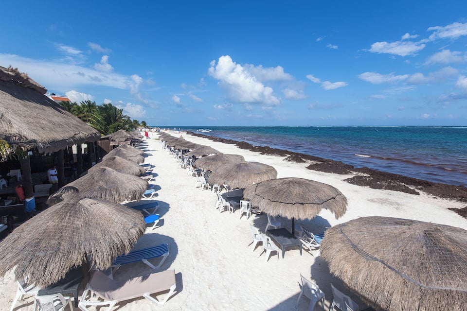 Une plage avec des parasols en chaume et des chaises longues.